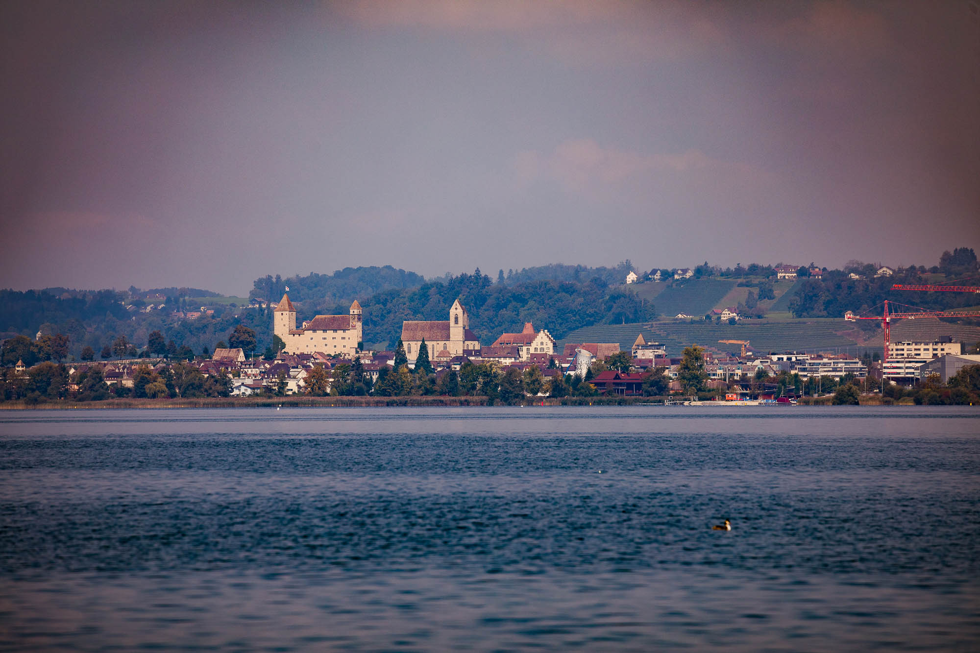 Export x3 5D4 3999 Hochzeit 2020 Muriel & Trevor